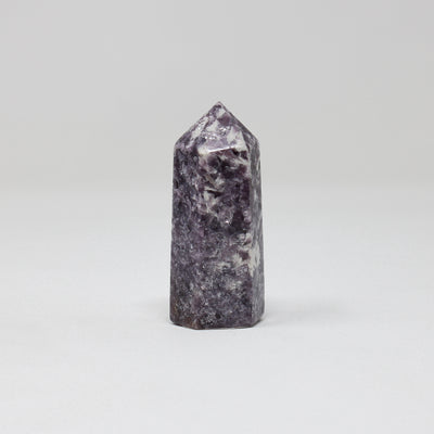 Lepidolite Mica Polished Points