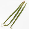 Canadian Sweetgrass Braid for Smudging, Healing, Ceremony,  Incense Stick is picked by Canadian Indigenous people & elders.